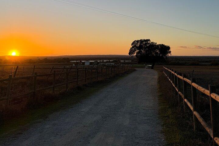 Paseos a caballo en Évora