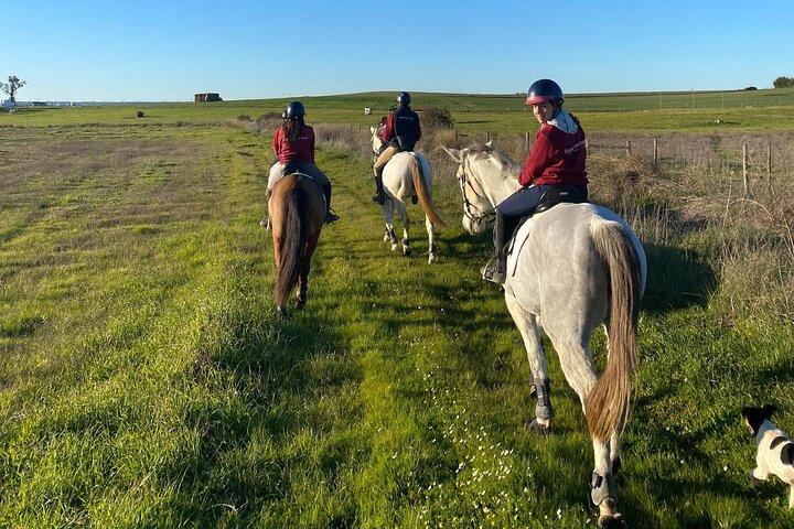 Paseos a caballo en Évora