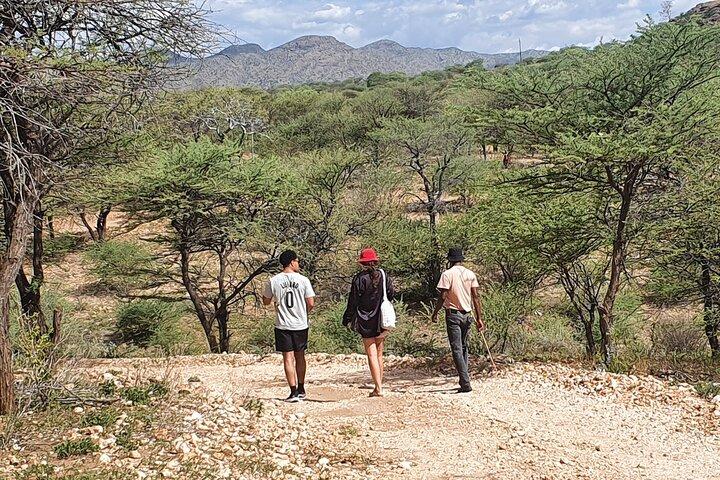 Caminata con los San en Windhoek
