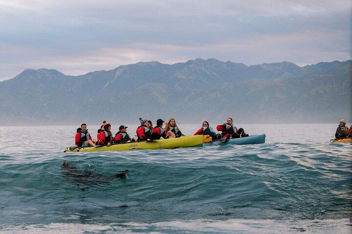 Tour in kayak al tramonto a Kaikoura