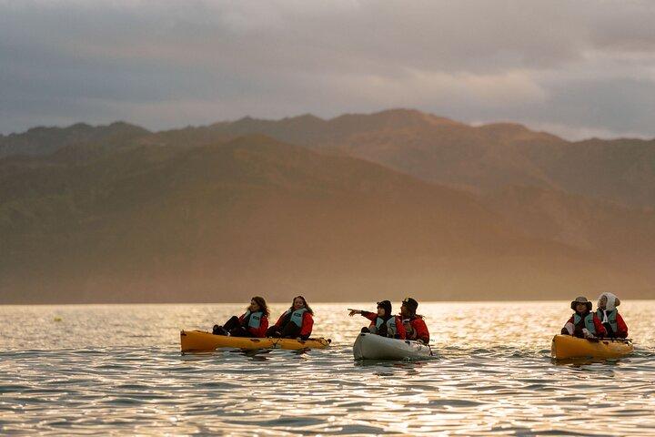 Tour in kayak al tramonto a Kaikoura