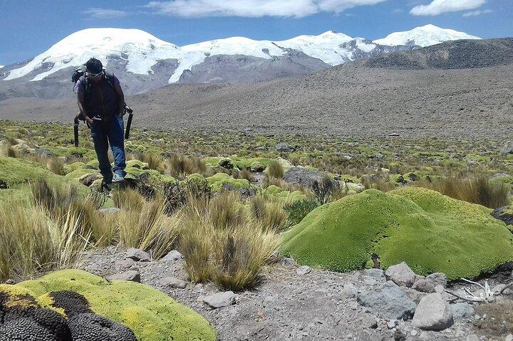 Climb Coropuna Volcano 6425 meters 3 Day Expedition Tours