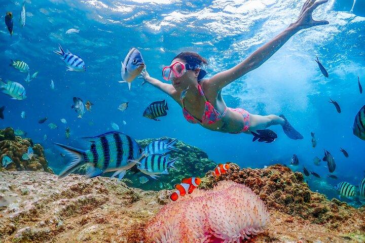 Nemo Island e Big Buddha Mountain Snorkeling de Banguecoque