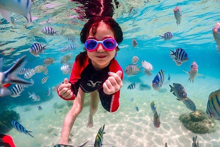 Nemo Island e Big Buddha Mountain Snorkeling de Banguecoque
