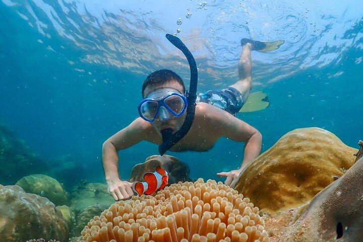 Nemo Island e Big Buddha Mountain Snorkeling de Banguecoque