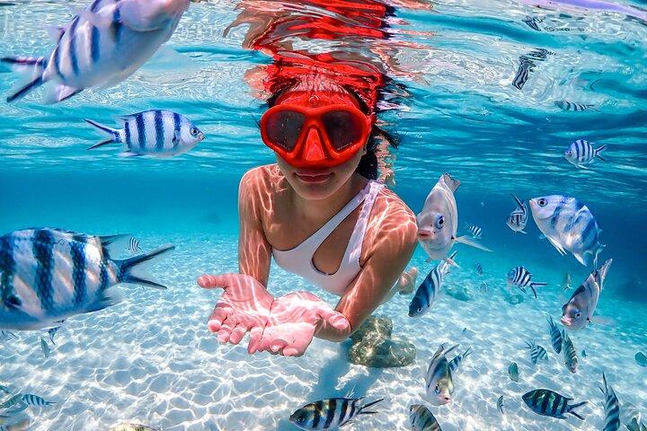 Nemo Island e Big Buddha Mountain Snorkeling de Banguecoque