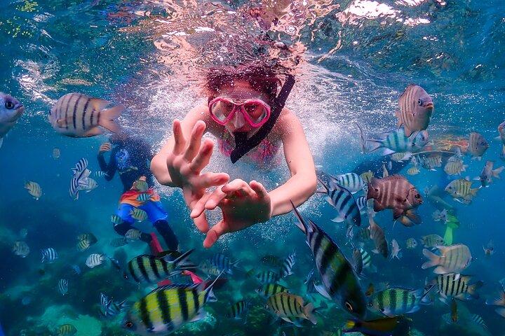 Nemo Island e Big Buddha Mountain Snorkeling de Banguecoque