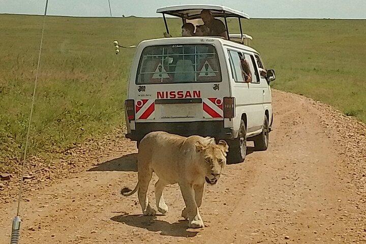 3 jours Maasai Mara Safari