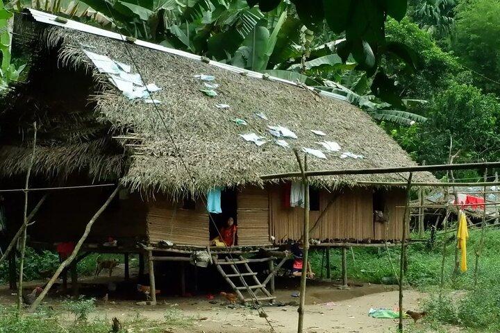 Jungle Odyssey : Libérez votre aventure à Taman Negara !