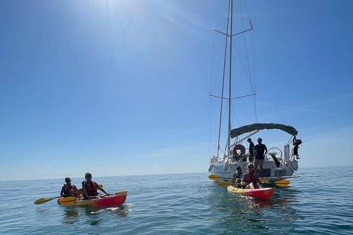 Halvdagsbådoplevelse - Comporta - Troia - Setubal
