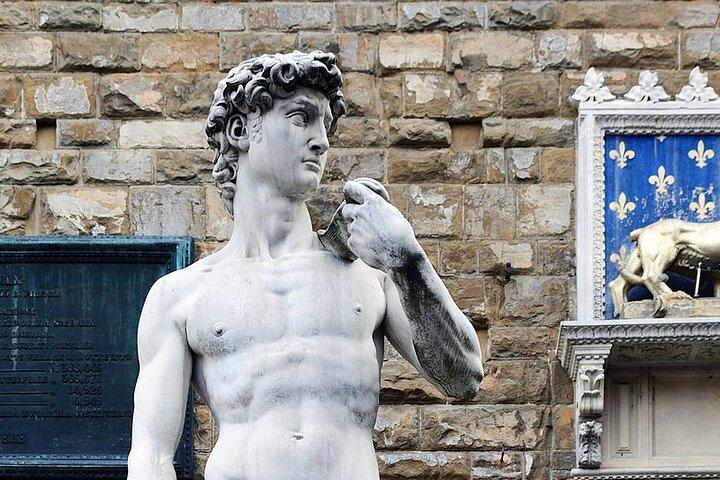 Academia Gallery VIP Visita guiada privada com 5 estrelas