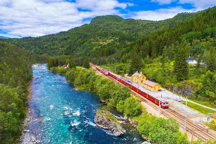 ヴァイキング村、ネーロイフィヨーデンクルーズ＆フロム鉄道ガイド付きツアー