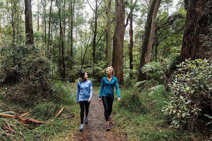 Puffing Billy & Rainforest Tour vanuit Melbourne