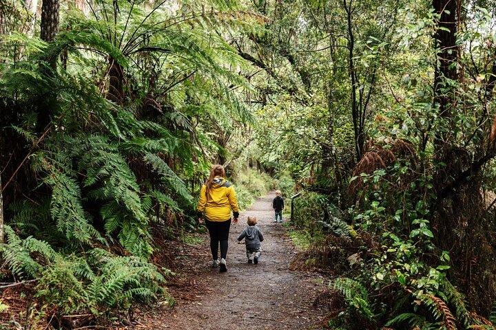 Puffing Billy & Rainforest Tour vanuit Melbourne