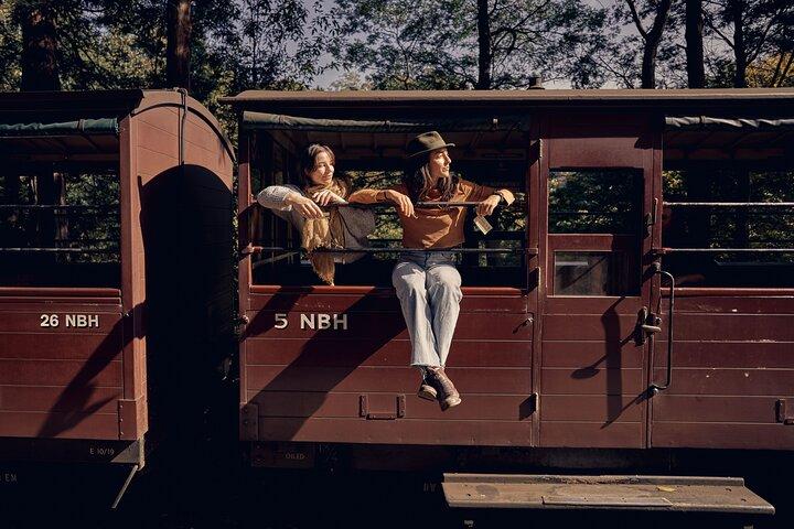 Puffing Billy & Rainforest Tour vanuit Melbourne