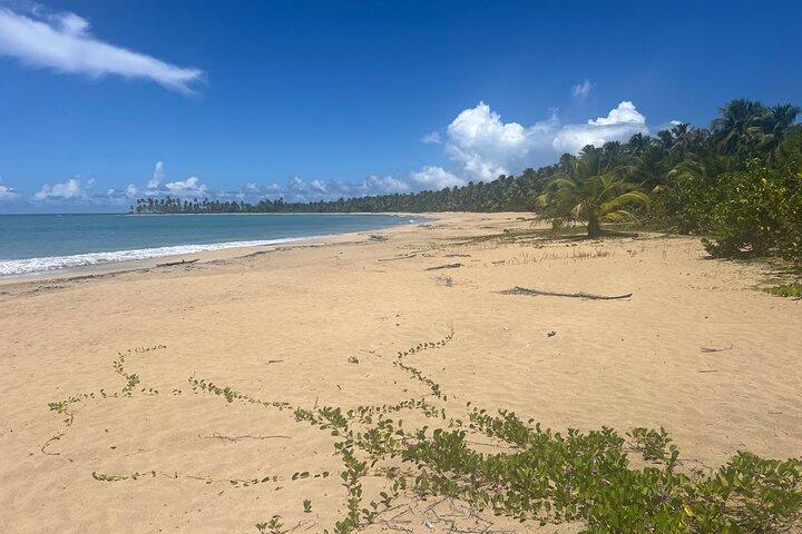 Det bedste ved Puerto Plata Private Sightseeing Tour Combo