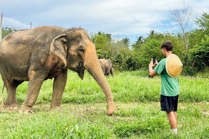 Halvdag elefanthemreservat i Samui