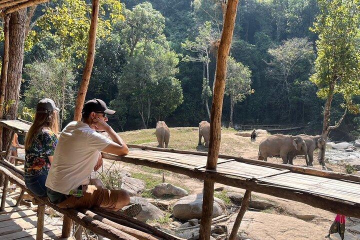 Chiang Mai Elephant Watch e Wang River Rafting