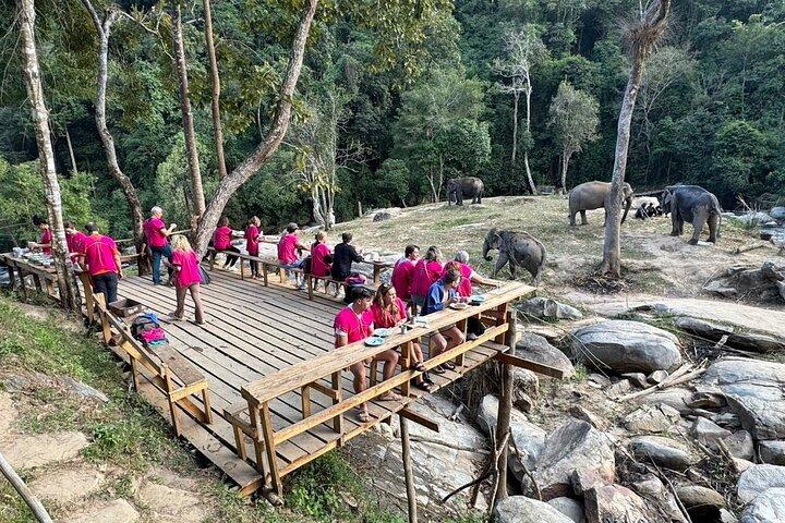 Chiang Mai Elephant Watch e Wang River Rafting