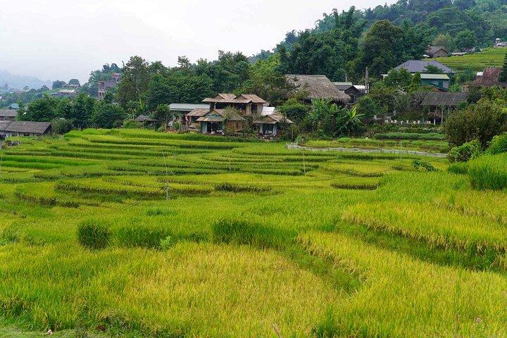 Gita di un giorno a Sapa Visita Y Linh Ho Lao Chai Ta Van Cat Village