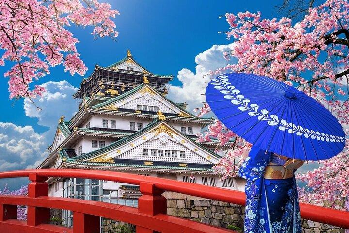 Entrada al castillo de Osaka