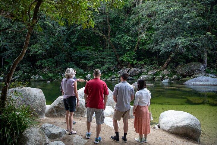 Excursão de meio dia à Daintree Rainforest e Mossman Gorge