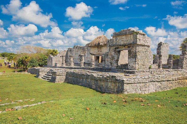 Tulum & Dolphin Connection desde Cancún