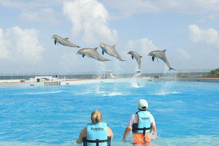 Tulum & Dolphin Connection desde Cancún