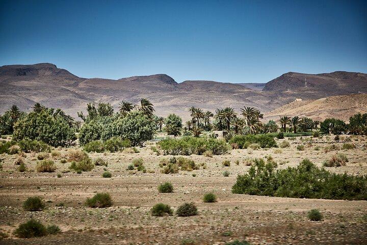 2 dagars resa till Zagora Desert Tour