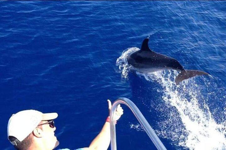 Tenerife Excursión en Ecoyate para Avistamiento de Ballenas