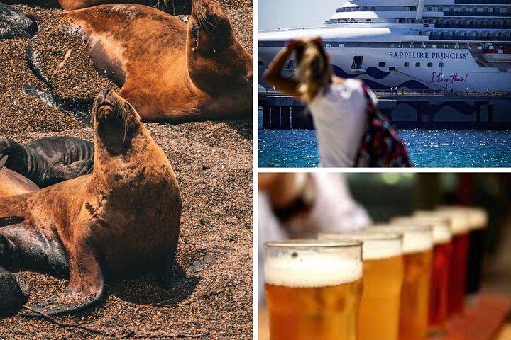 Shore Tour Punta Loma avec dégustation de bière artisanale