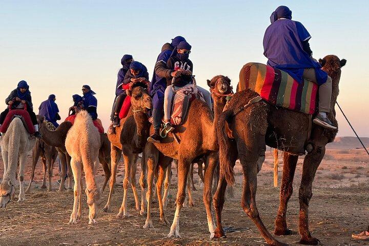 Agafay Desert Camel Ride with Sunset Dinner & Berber Show