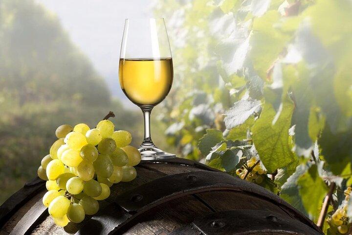 Maribor og Styria Tour med vinsmagning