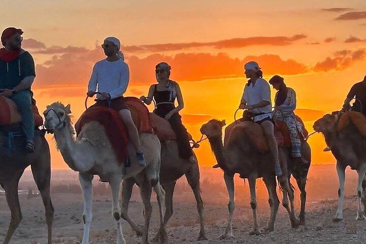 Marrakech: Agafay Desert Sunset, Camel Ride e Dinner Show.