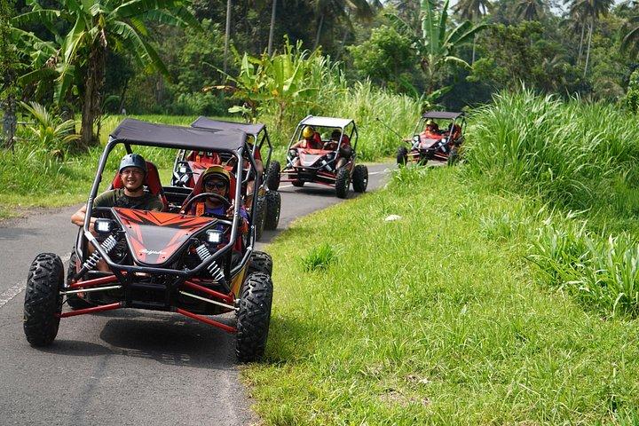 Pacchetti Bali Buggy e Swing