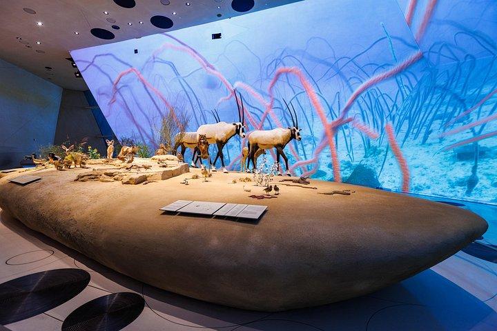 ガイド付きドーハ博物館ツアー： カタールの豊かな遺産と芸術を体験