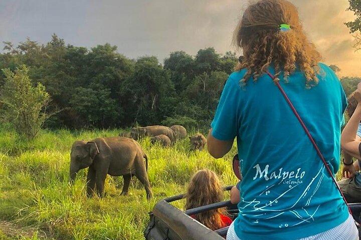 Esperienza di safari avventura nel parco ecologico di Hurulu, Sri Lanka
