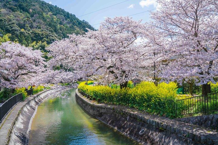 Kyoto Higashiyama E-Bike Tour *Privé, ophalen van/naar hotel