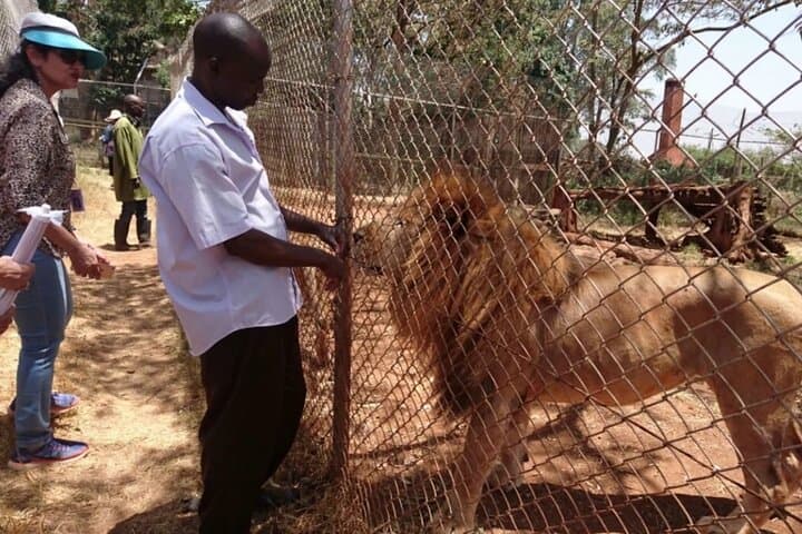 Animal Orphanage Half Day Tour in Nairobi