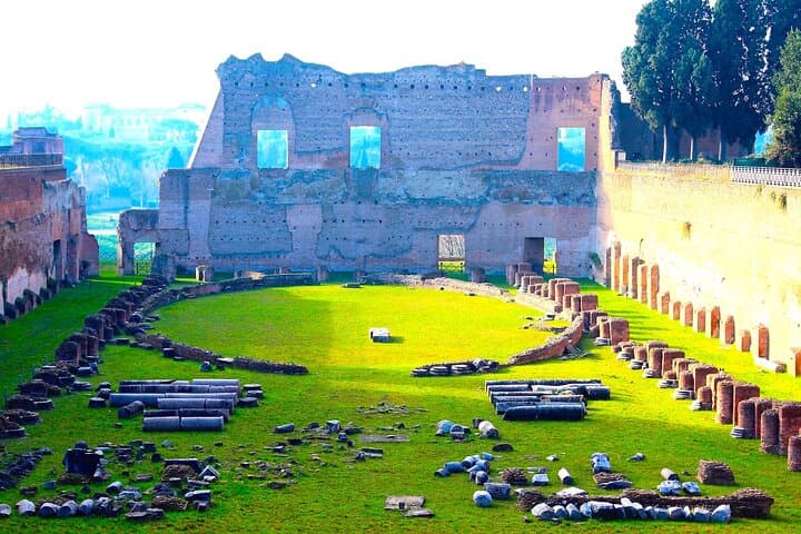 Colosseum Roman Forum and Palatine Hill Experience