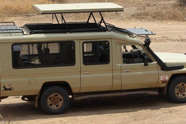Masai Mara Transfer From Nairobi