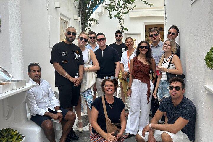 Mykonos Your Way with Customizable Private Half Day Tour
