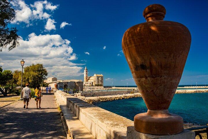 Castel del Monte Unesco & Trani - small groups led by Bari