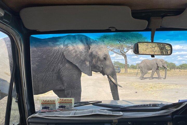 Safari privado de 5 días por el norte de Tanzania, con salida de Arusha