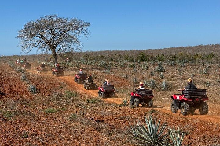 Combinazione ATV & Temazcal con pranzo e tour Mezcal
