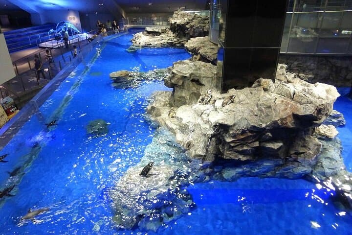 Sumida Aquarium Ticket Tokyo