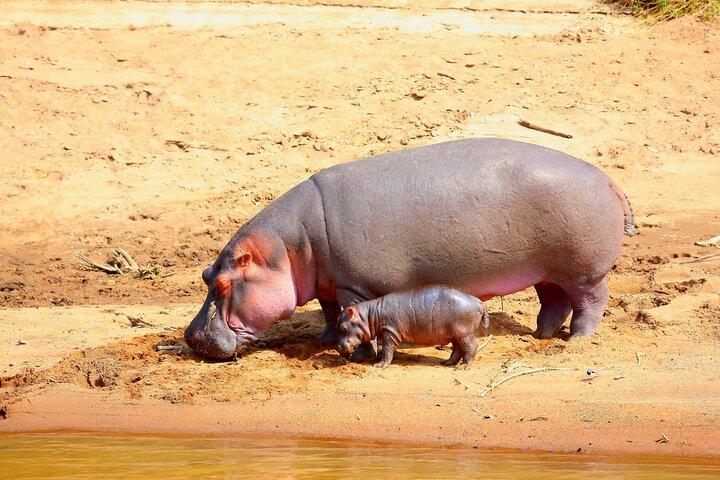 12 dagen en 11 nachten beste Kenia Safari