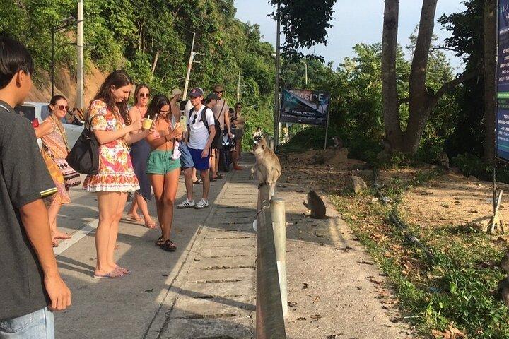 Roadtrip um Koh Phangan-Join Trip (Gemeinsamer Roadtrip)