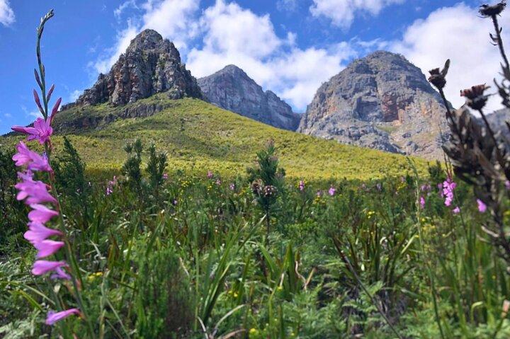 Stellenbosch Waterfall Hike - Conservação da Natureza de Banhoek