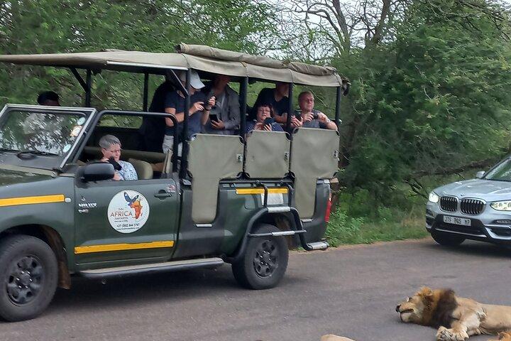 Parque Nacional Kruger: safari de dia inteiro